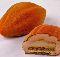 Cocoa Pod - 
